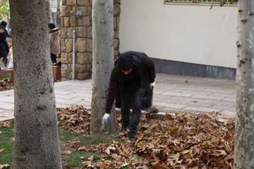 کاهش پسماند و تفکیک آن از مبدا 